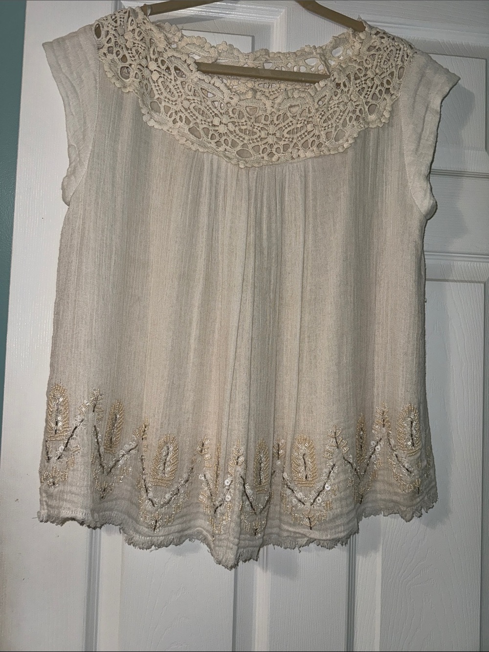 Anthropology top
